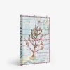 Four Seasons^ASSOULINE Online