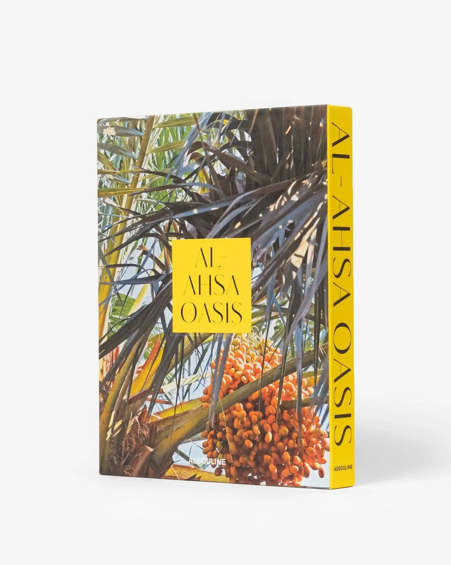 Saudi Arabia: Al-Ahsa Oasis^ASSOULINE Hot