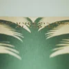 Saudi Dates: A Portrait of the Sacred Fruit^ASSOULINE Online