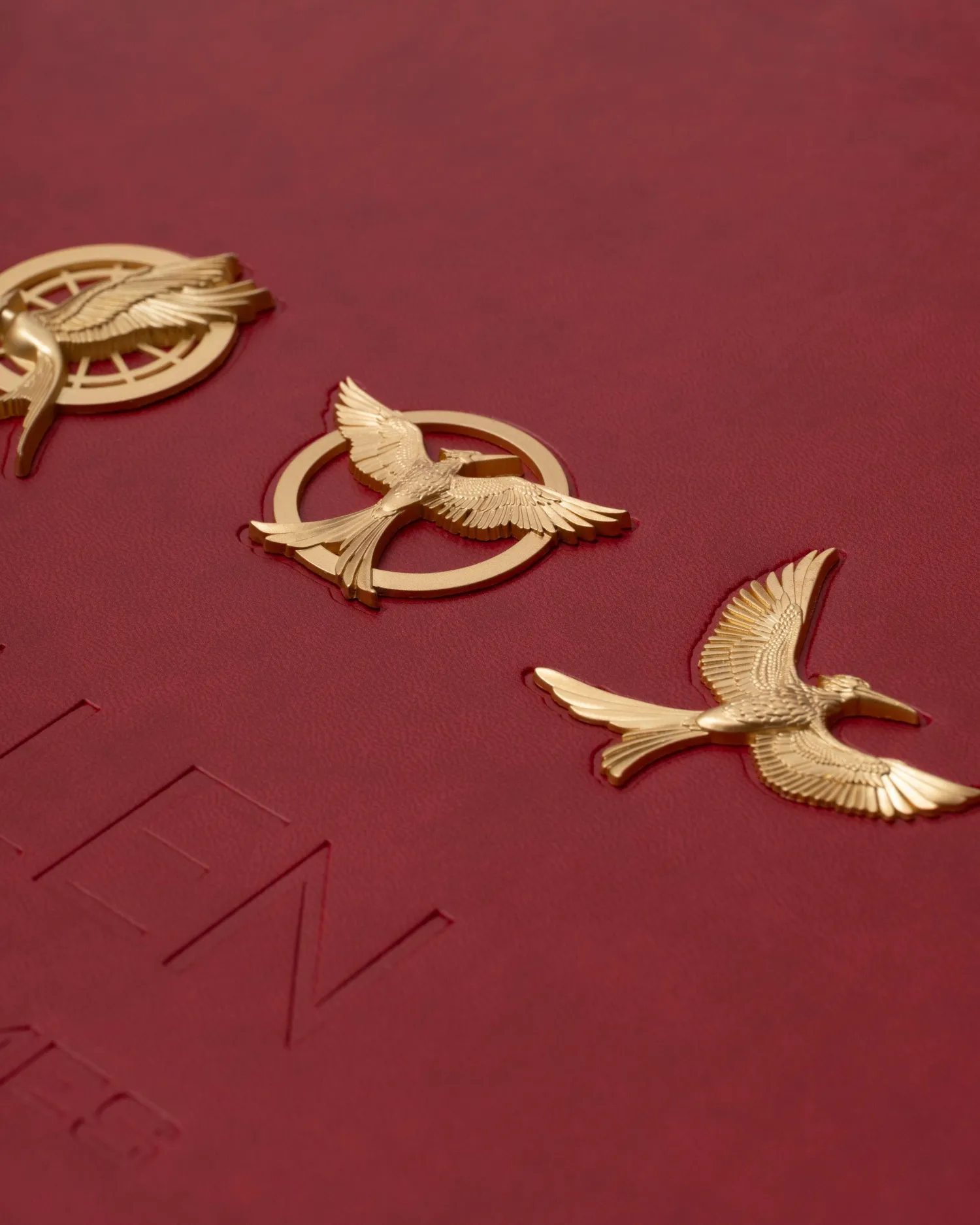 Tim Palen: Photographs from The Hunger Games (Ultimate Edition)^ASSOULINE Online