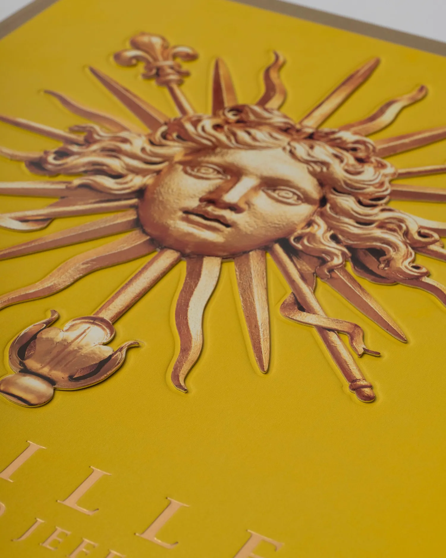 Versailles: From Louis XIV to Jeff Koons (Special Edition)^ASSOULINE Best