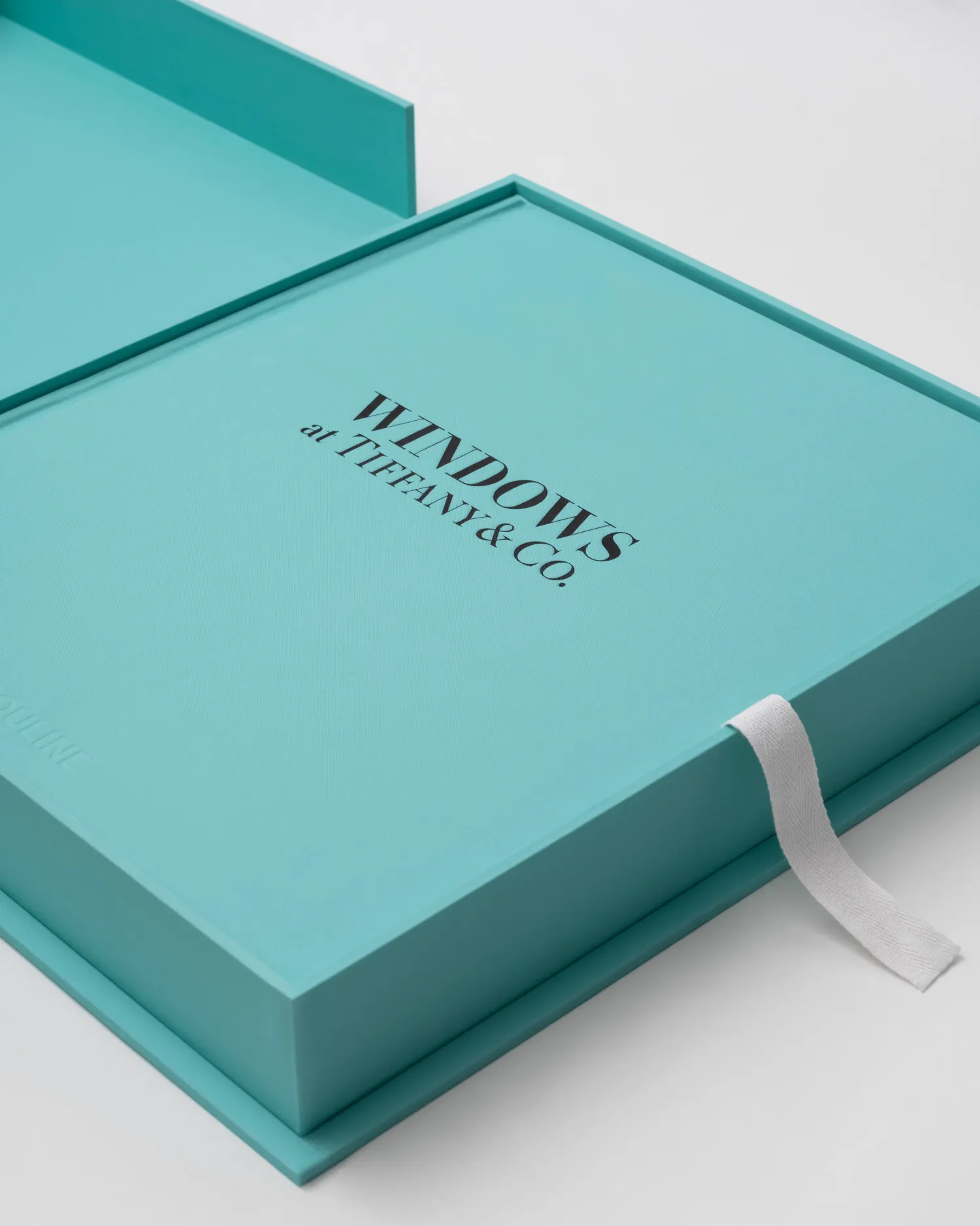 Windows at Tiffany & Co.^ASSOULINE Sale
